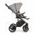 Roan Bass Next 3in1 titanium